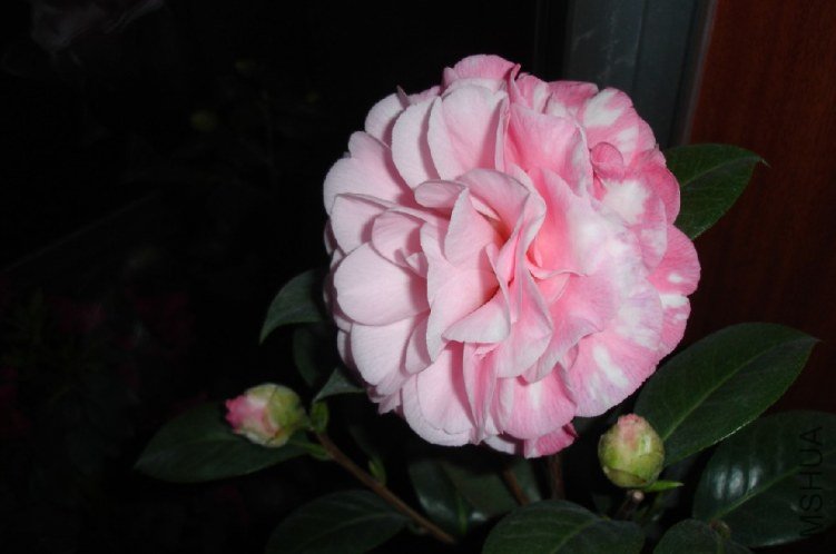 QQ��ͼ20120114083617.jpg