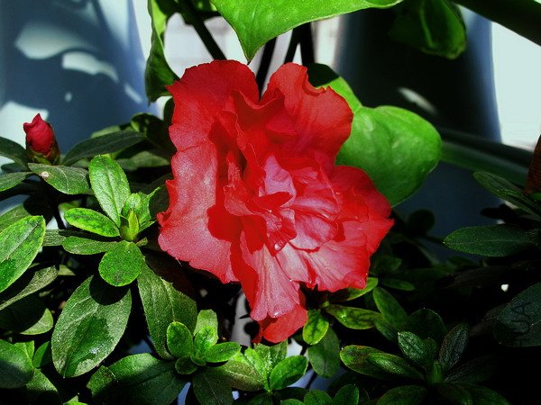 ��Ƭ(����) 025.jpg