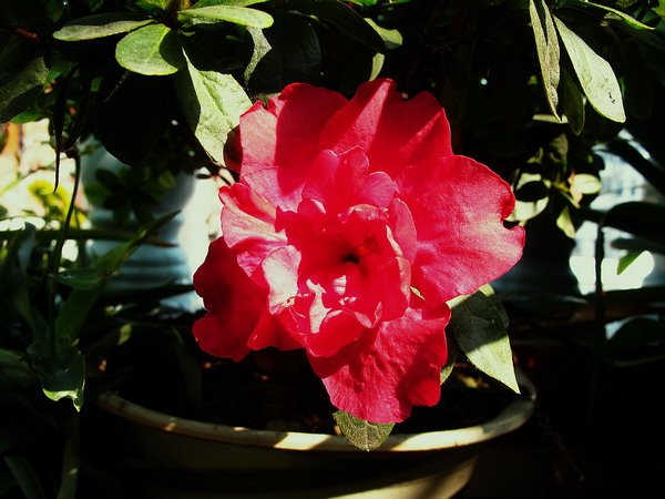 ��Ƭ(����) 002.jpg