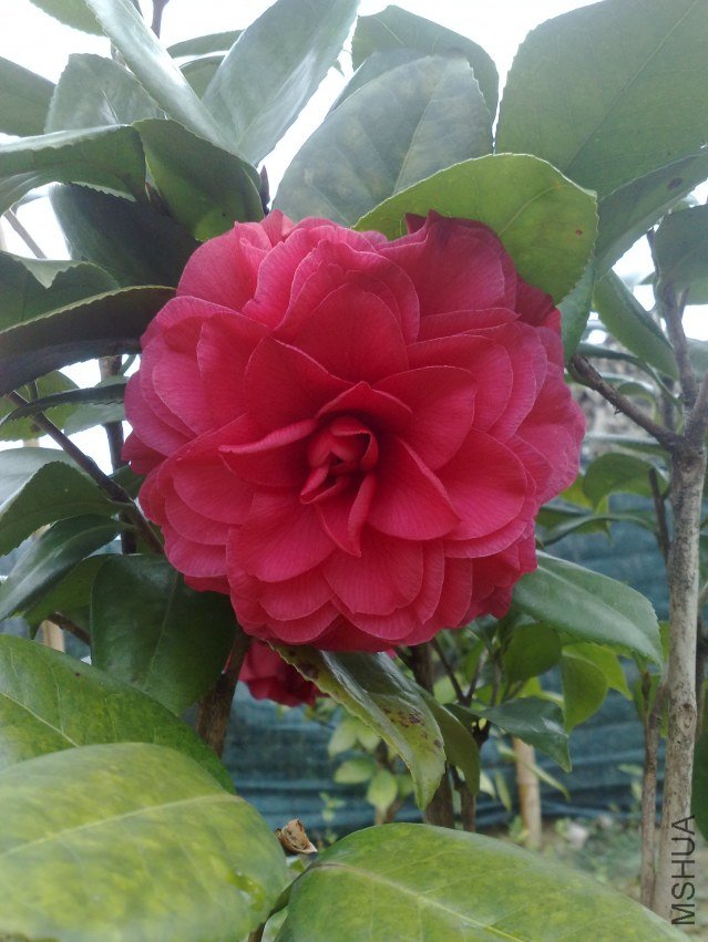 201201031084.jpg