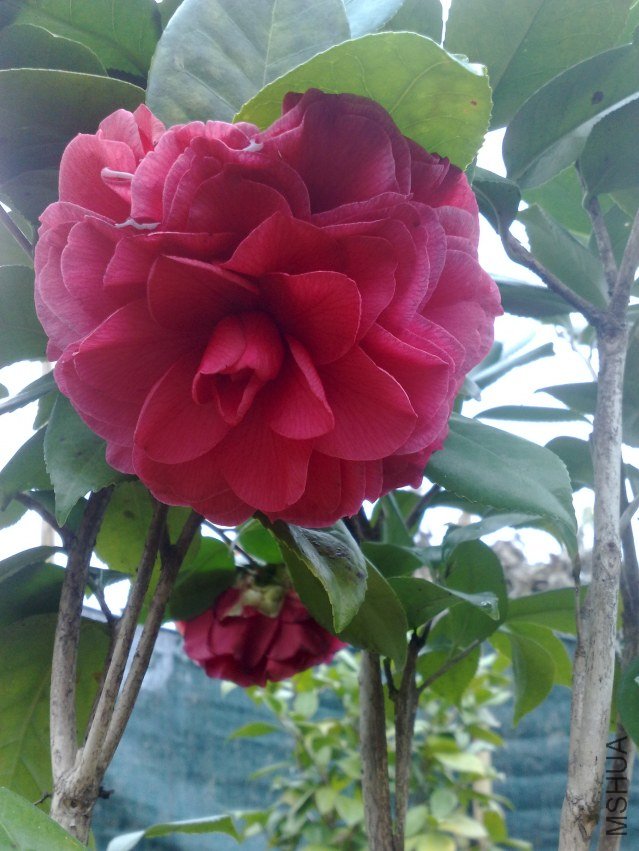 201201071093.jpg