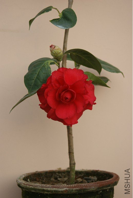 QQ��ͼ20120115165649.jpg