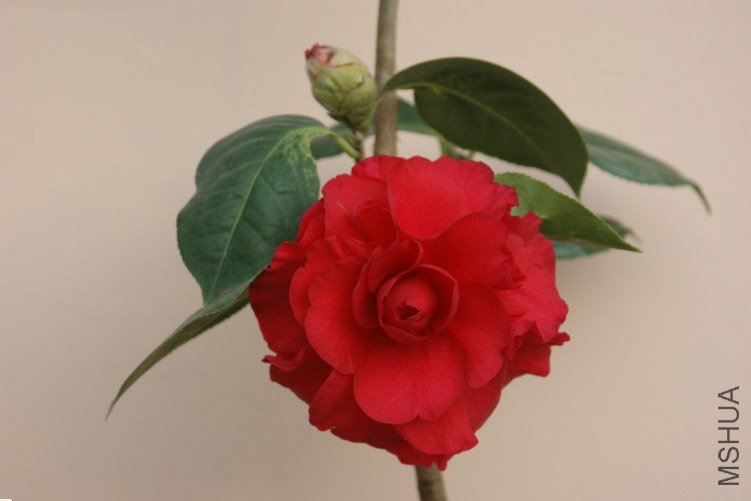 QQ��ͼ20120115165707.jpg