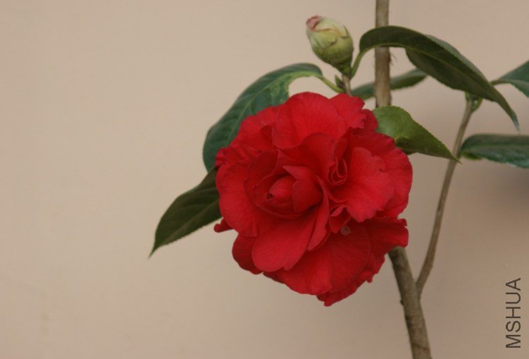QQ��ͼ20120115165724.jpg