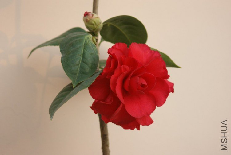 QQ��ͼ20120115165738.jpg