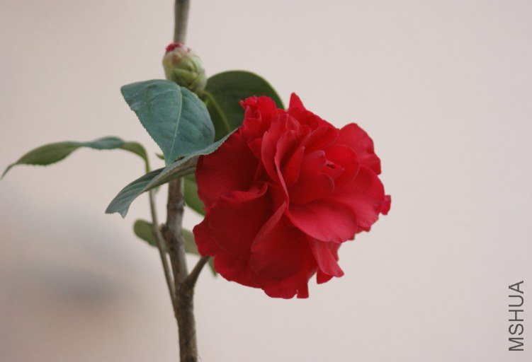 QQ��ͼ20120115165800.jpg
