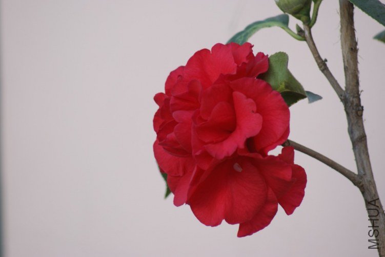 QQ��ͼ20120115165818.jpg