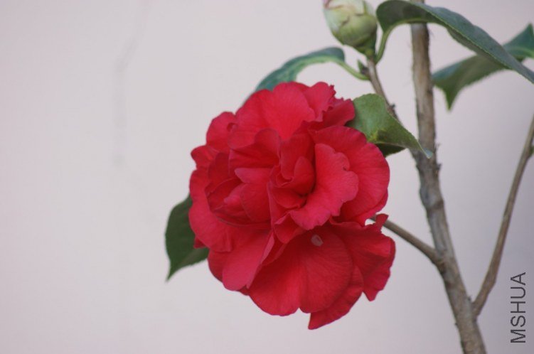 QQ��ͼ20120115165845.jpg