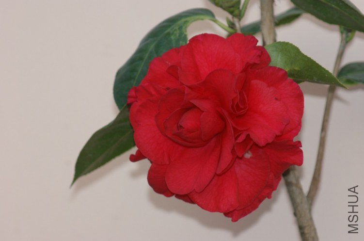 QQ��ͼ20120115165903.jpg