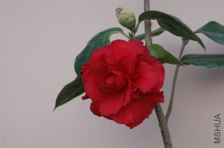 QQ��ͼ20120115165924.jpg