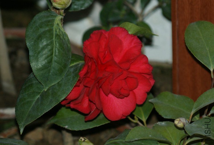 QQ��ͼ20120115170031.jpg