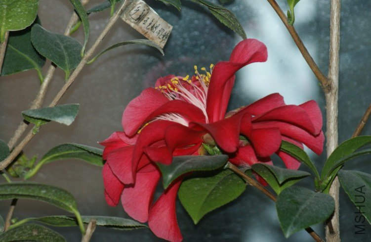 QQ��ͼ20120115170201.jpg