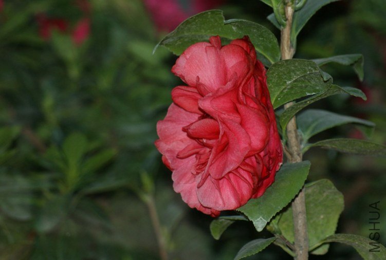 QQ��ͼ20120115170213.jpg
