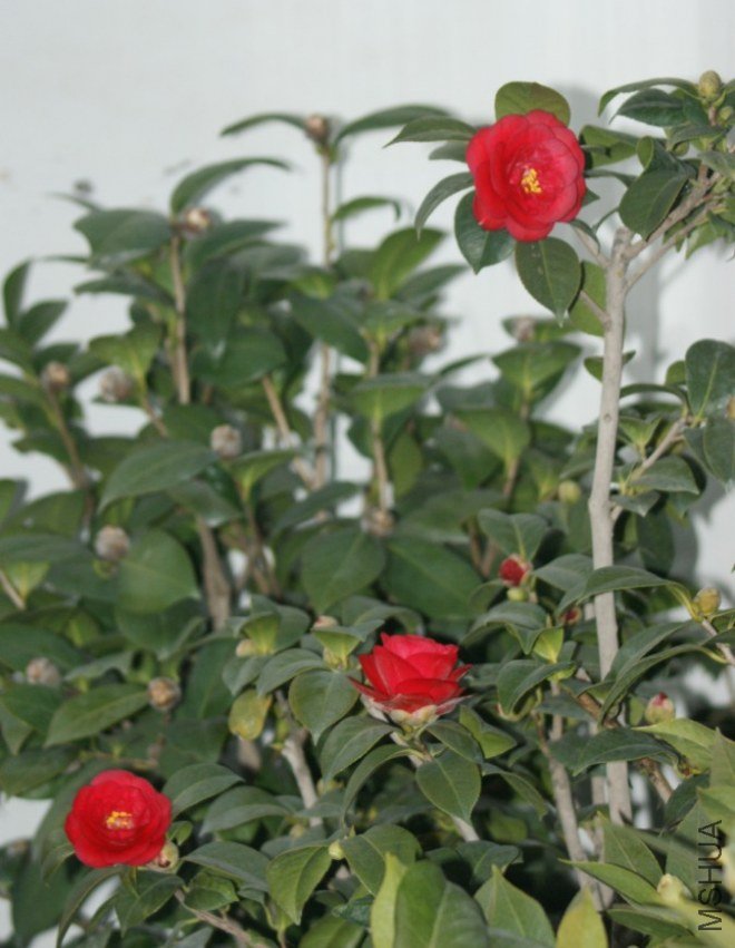 QQ��ͼ20120115173510.jpg