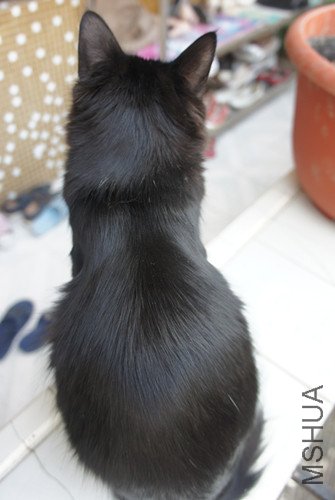 DSC00215_����.jpg