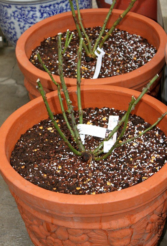 �¼�-·�׿������� 02.jpg