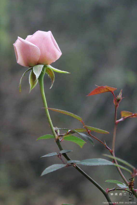 ���죬û�����⣬����Ҳ����ô�