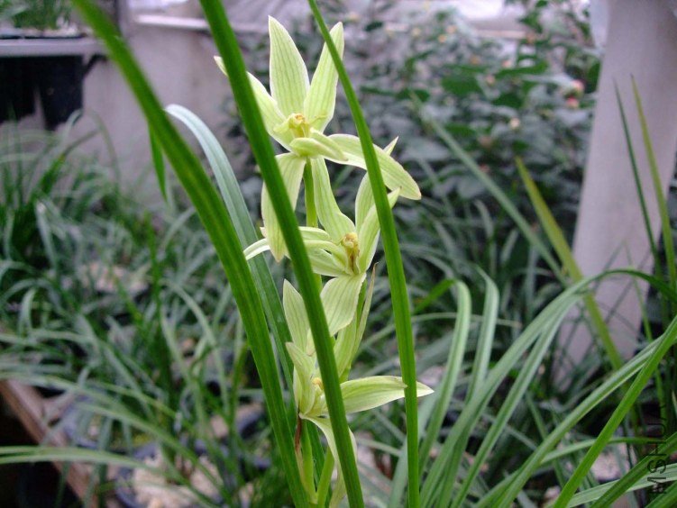 �滨�� 2012-1-18f (1).jpg