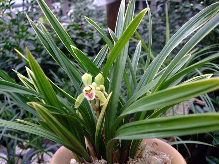 ��Ƭ2012-1-18f (1).jpg