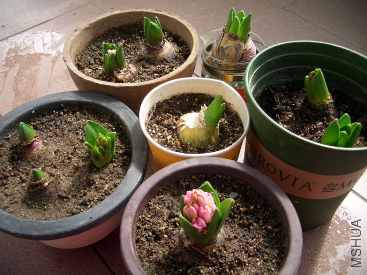 20120117.jpg