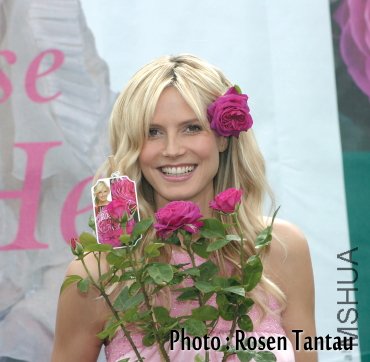 Heidi Klum Rose ��������ǿ��.jpg