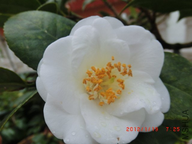 CIMG1495_����.jpg