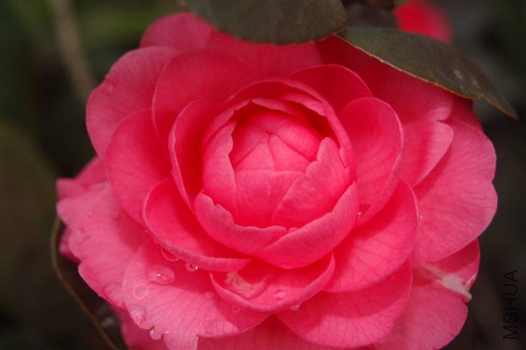 DSC_00160016.JPG