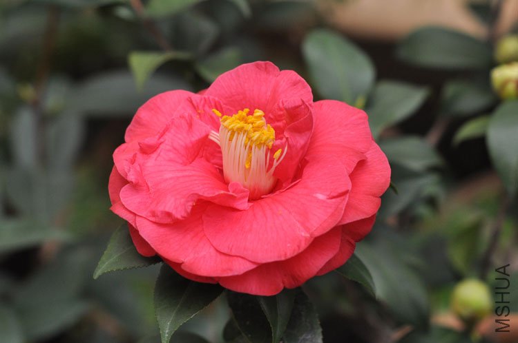 DSC_1493.jpg