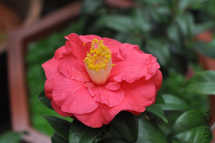 DSC_1535.JPG