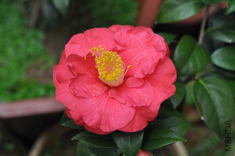 DSC_1536.JPG