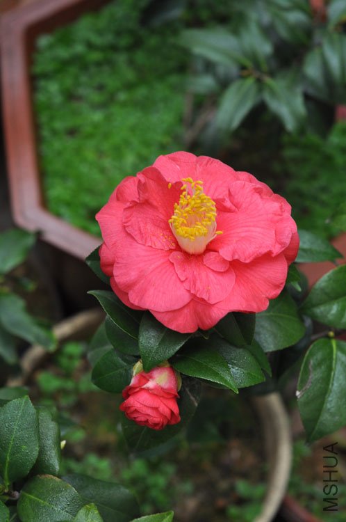 DSC_1537.JPG