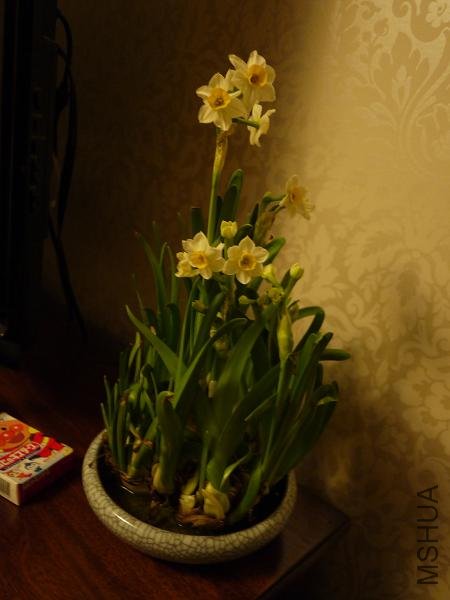 P1010133.jpg