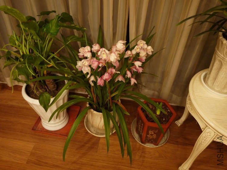 P1010125.jpg