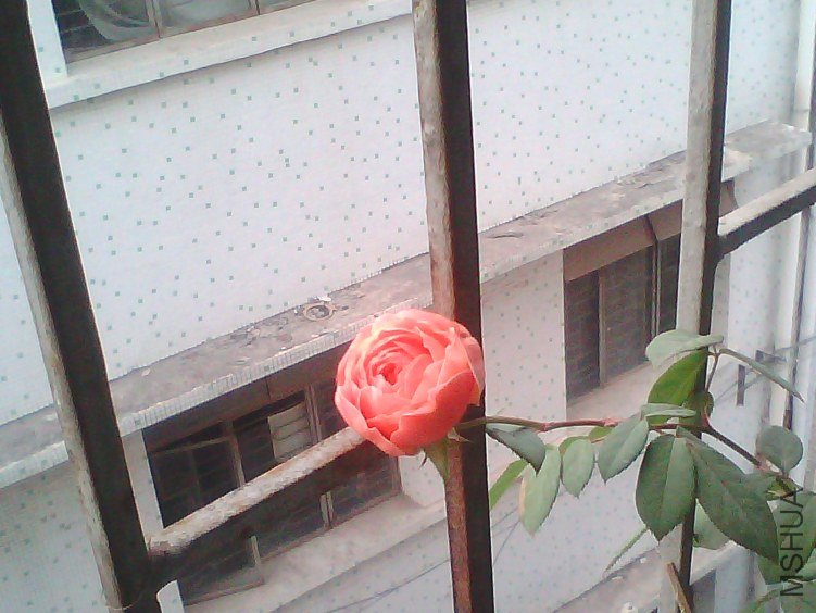 IMG00044.jpg