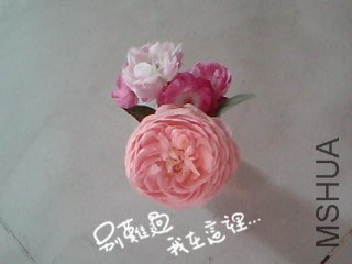 IMG00056_����.jpg
