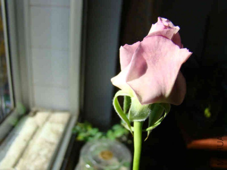DSC05030.JPG