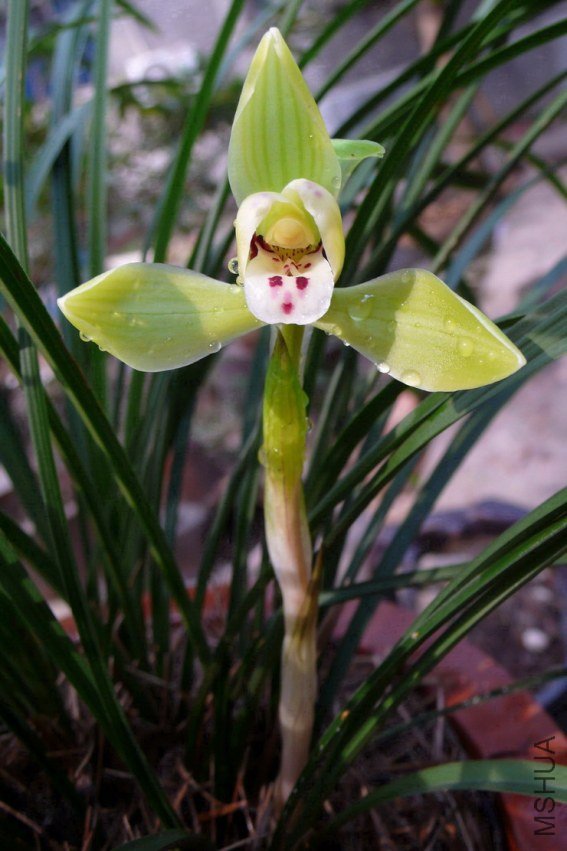 ��4.jpg