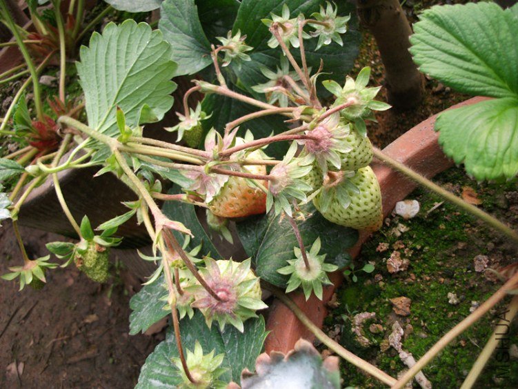 DSCF3904_����.jpg