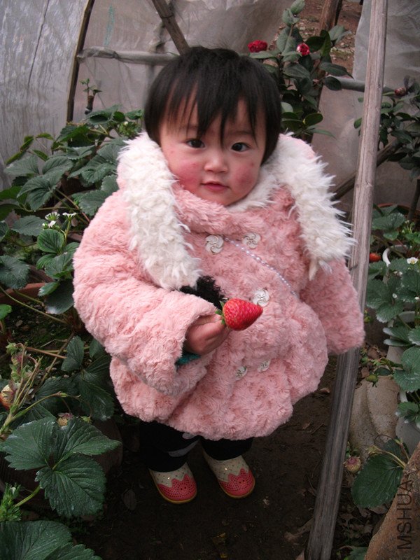 DSCF3927_����.jpg