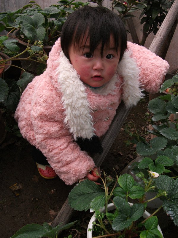 DSCF3931_����.jpg