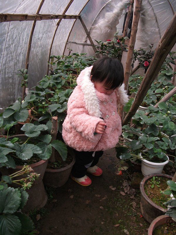 DSCF3933_����.jpg