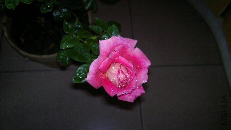 20110929156.jpg