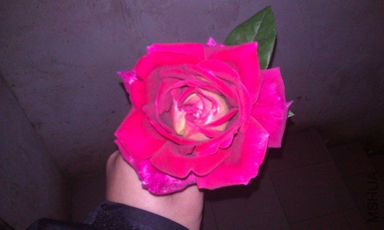 IMAG0027.jpg