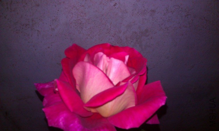 IMAG0028.jpg