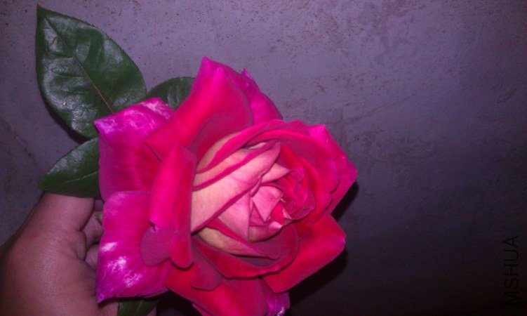 IMAG0029.jpg
