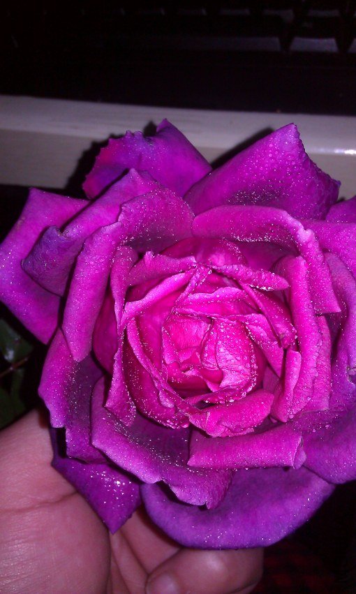 IMAG0067.jpg