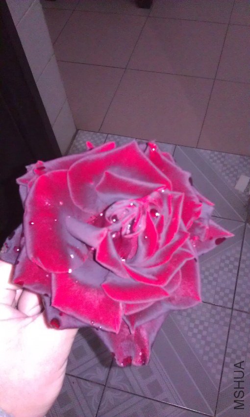 IMAG0072.jpg