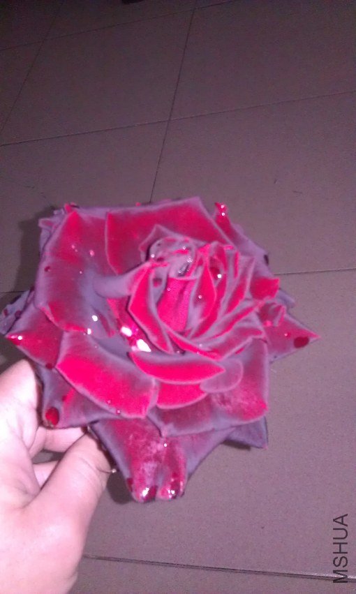 IMAG0076.jpg