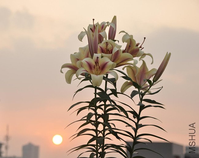 �ٺ� 019_����.jpg