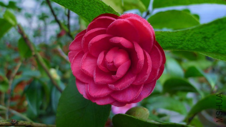 ��һ�俪��